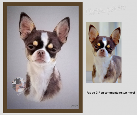 Capture d e cran 2021 04 12 a 08 26 56