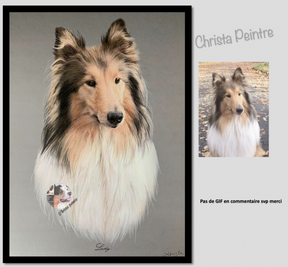 Capture d e cran 2022 01 06 a 11 20 09