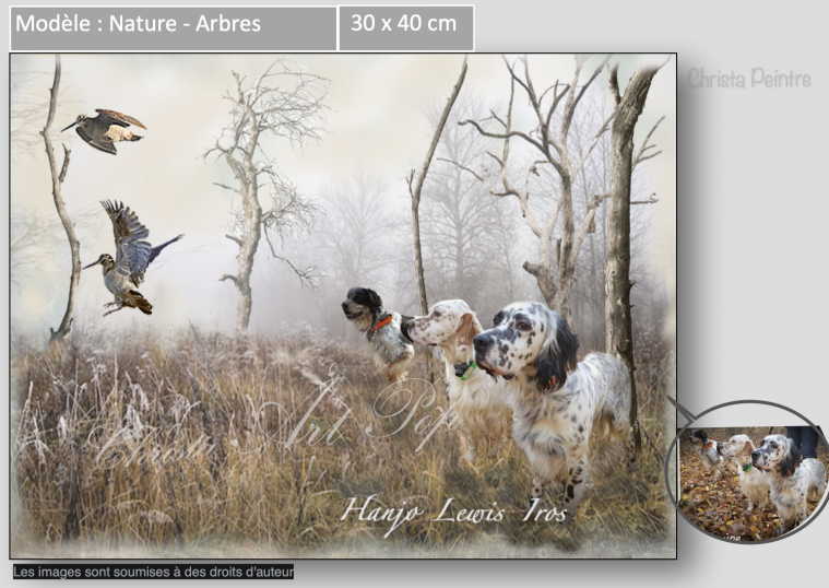 Modèle Nature - Arbres