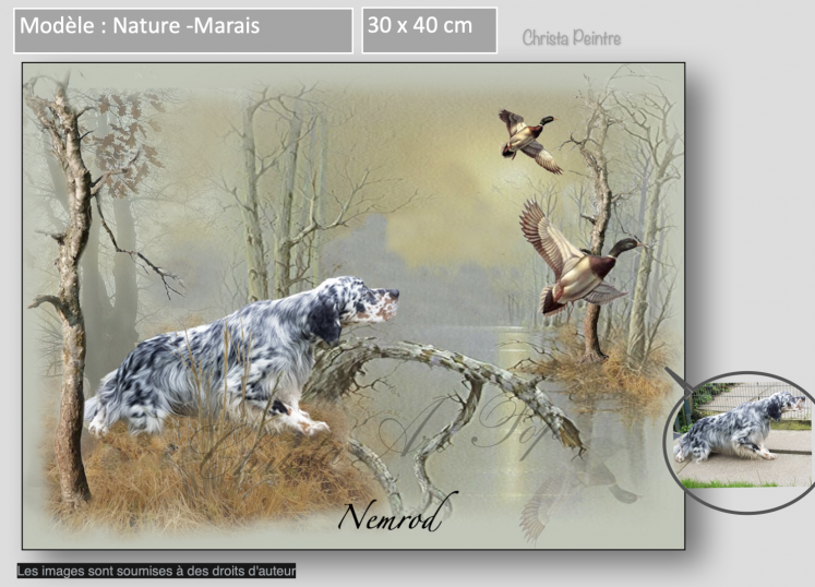 Capture d e cran 2022 08 27 a 08 56 44