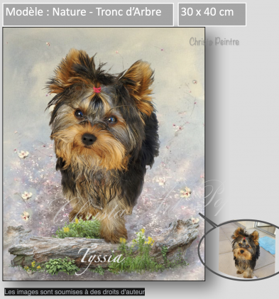 Nature: Tronc d'arbre