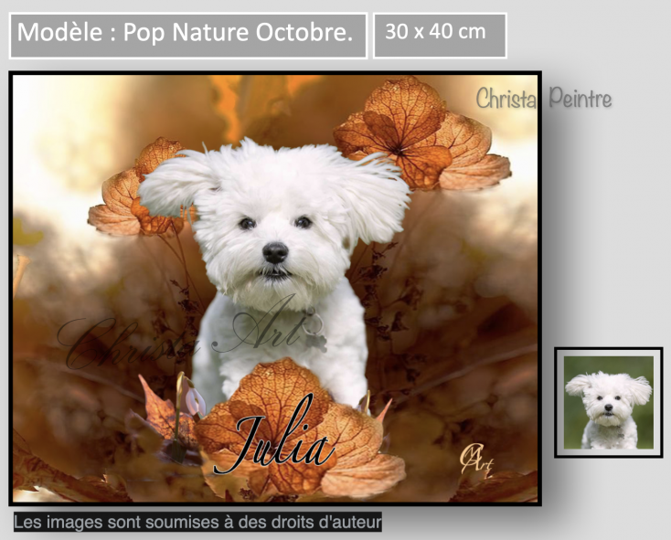 Capture d e cran 2022 10 19 a 09 16 57