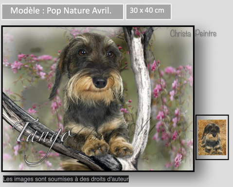 Capture d e cran 2022 10 21 a 10 45 00