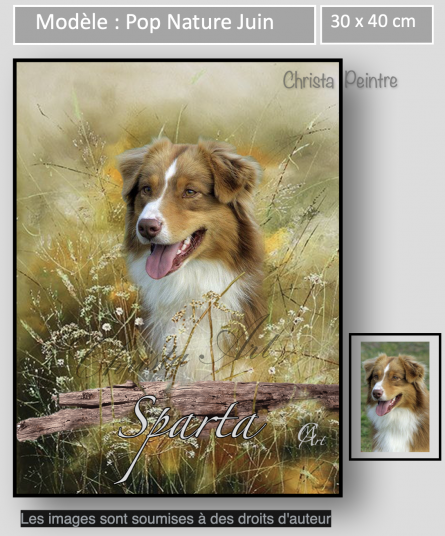 Capture d e cran 2022 10 22 a 10 51 54