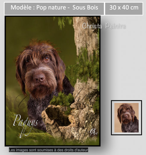 Capture d e cran 2022 10 29 a 09 59 01