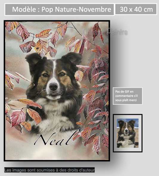 Capture d e cran 2022 12 22 a 10 46 01