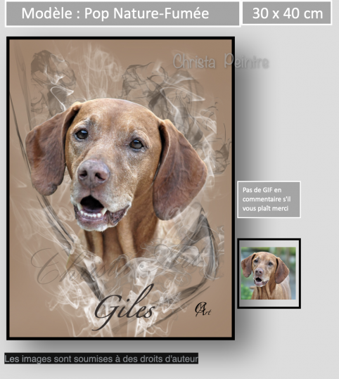 Capture d e cran 2023 02 21 a 10 46 36