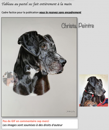 Capture d e cran 2023 09 26 a 09 18 12