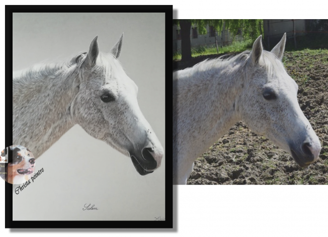 Cheval blanc pastel