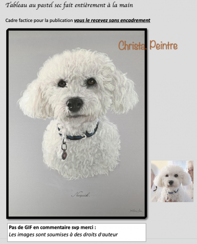 Franc oise bortolin2023